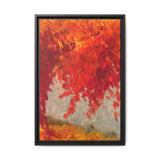 Autumn Blaze Framed Canvas Print