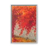 Autumn Blaze Framed Canvas Print