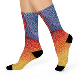 Primary Bridge SF Cushioned Socks