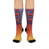 Primary Bridge SF Cushioned Socks
